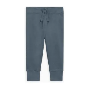 Colored Organics Cruz Joggers-Harbor