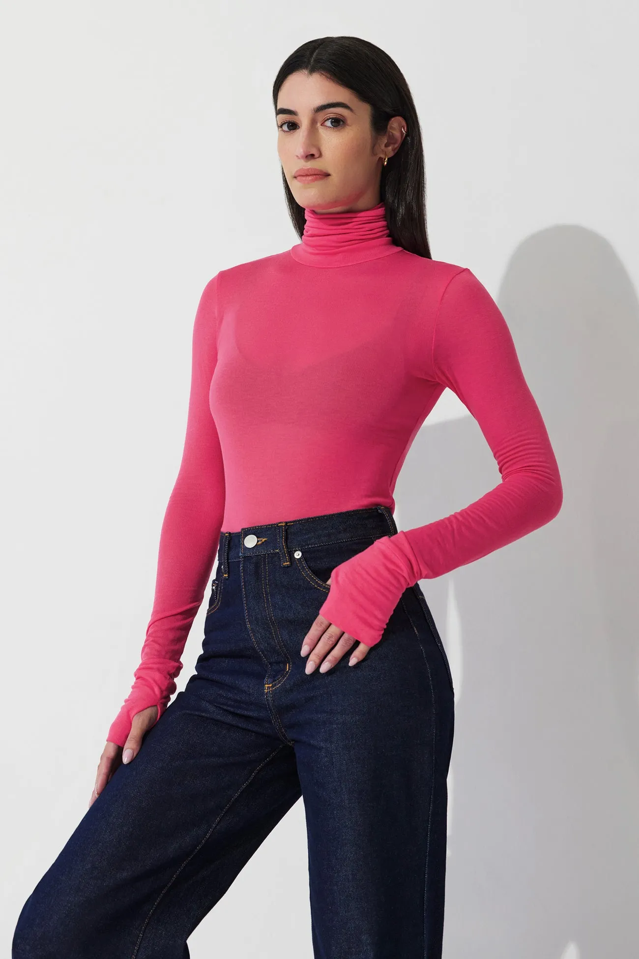 Eloise Sheer Turtleneck