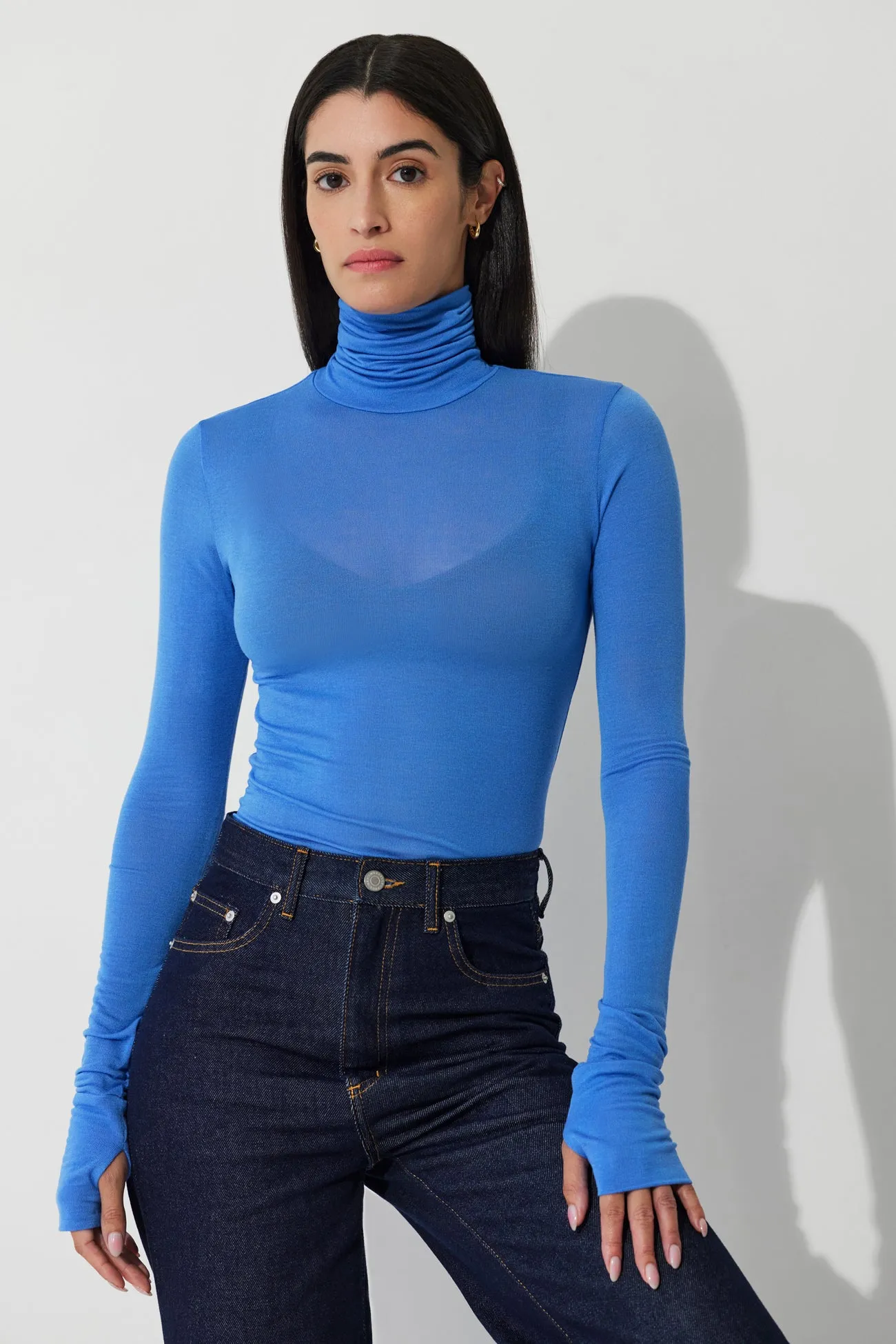 Eloise Sheer Turtleneck