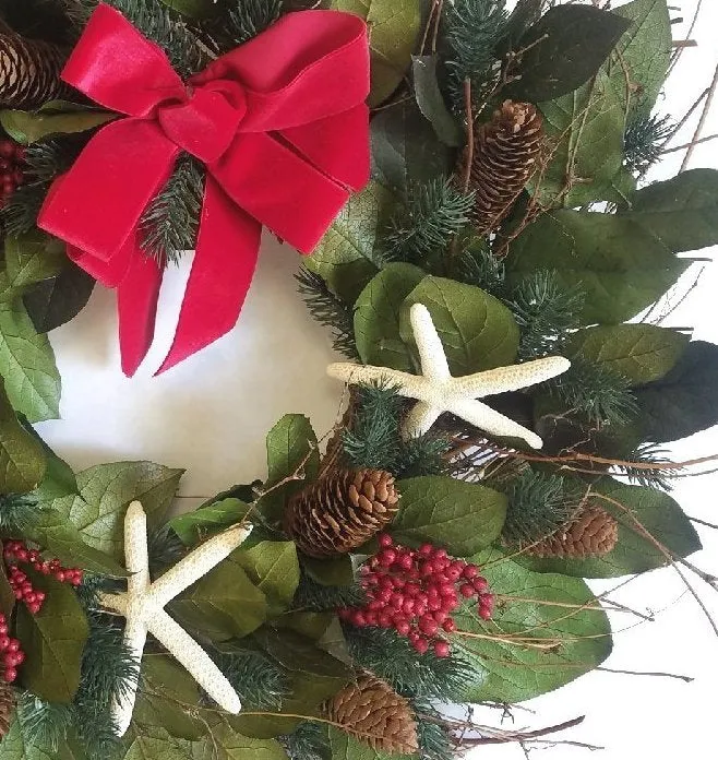 Holiday Starfish Preserved Coastal Wreath