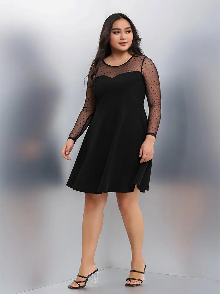 Mesh Long Sleeve Dress